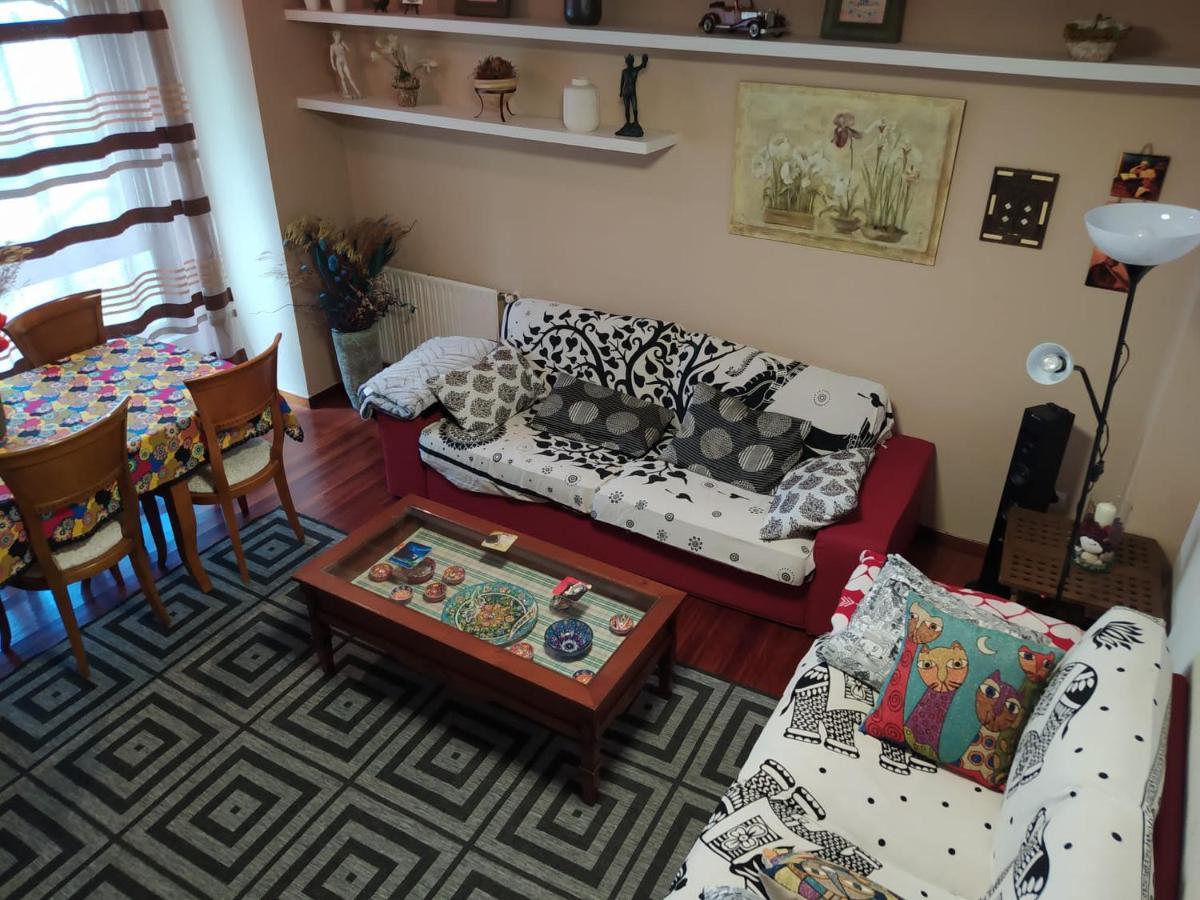 Apartmán Duplex Amplio,Parking Wifi, 2 Terrazas, Bien Conectado Con Playas, Zona Segura Vigo Exteriér fotografie